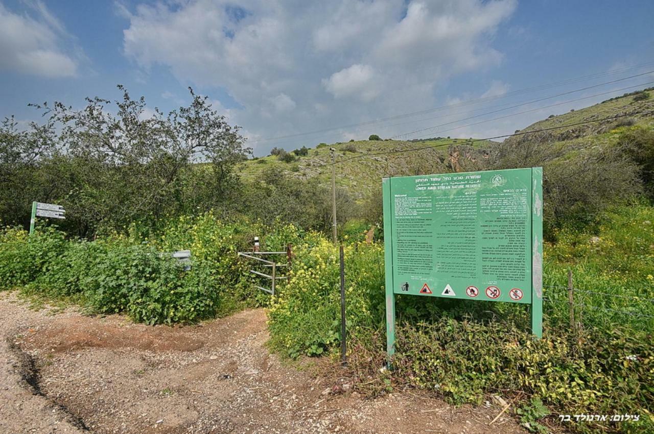 Mul Kinneret Livnim Eksteriør billede