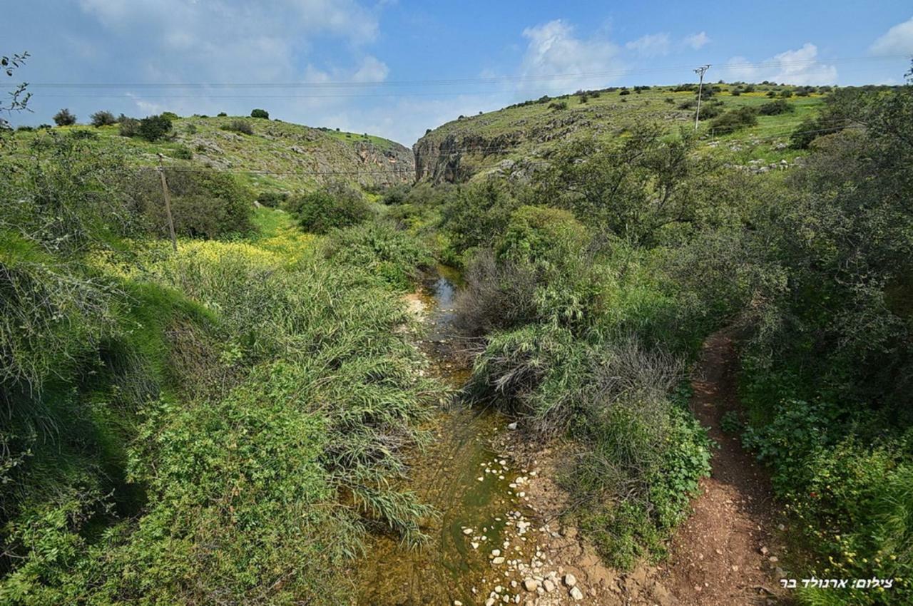 Mul Kinneret Livnim Eksteriør billede