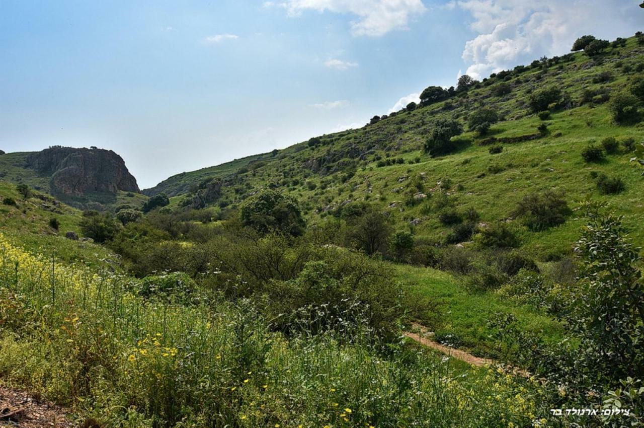 Mul Kinneret Livnim Eksteriør billede